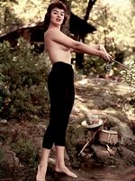 retro porn stars