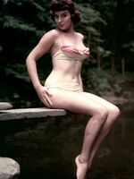 classic retro porn