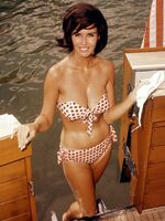 vintage retro porn