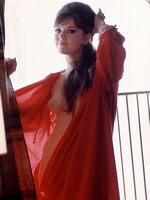 vintage retro porn