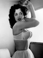 classic retro porn
