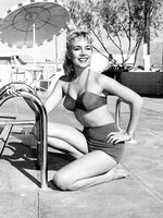 classic retro porn