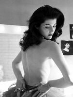 vintage retro porn
