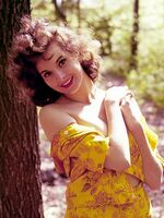 retro porn stars