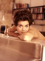 classic retro porn