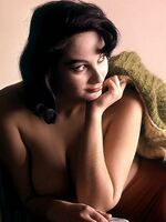 vintage retro porn