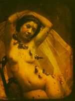 retro french porn