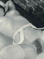 vintage retro porn