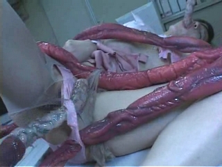 Download Tentacle Video