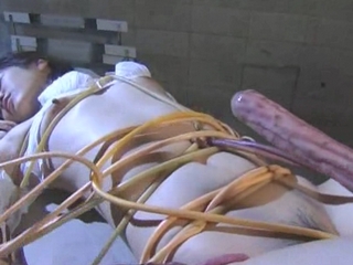 Download Tentacle Video