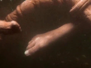 Live Action Tentacle Trailer