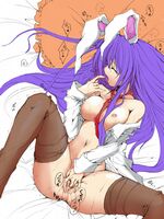 hentai lesbian videos