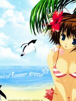 free lesbian hentai videos