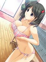 free lesbian hentai videos