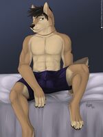 gay furry comics