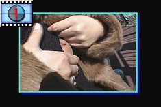 lactation_chunk_4.jpg