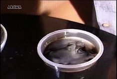 5la_chunk_514.jpg