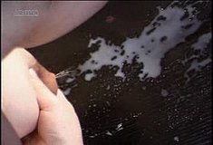 5la_chunk_651.jpg