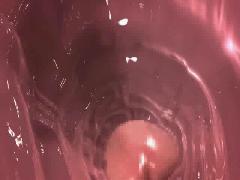 3d porn movies