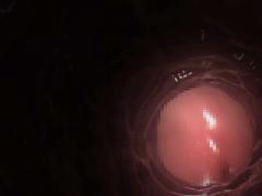 3d cartoon porn