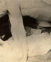 vintage porn