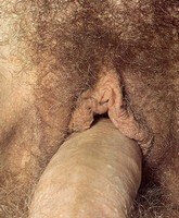 vintage sex