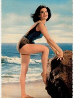 vintage erotica