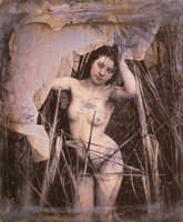 vintage porn collection