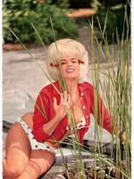 vintage nudes