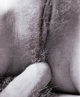 vintage porn collection
