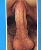 vintage porn