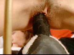 retro sex