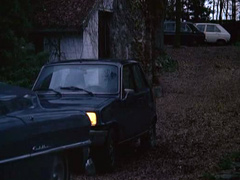 retro sex