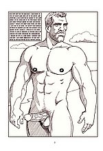 Male Dreams