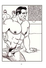 Male Dreams
