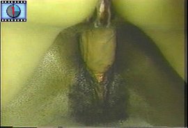 herma_chunk_144.jpg