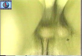 herma_chunk_156.jpg