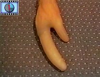weird_chunk_45.jpg