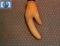 weird_chunk_53.jpg