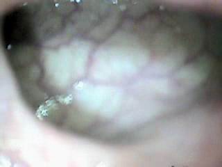 #3 video sample