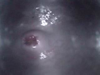 #2 video sample