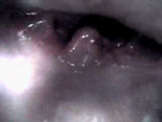 #3 video sample