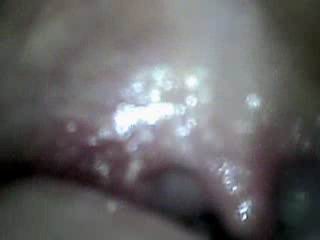 #3 video sample
