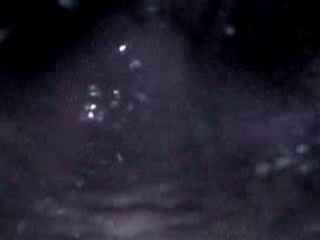 #1 video sample