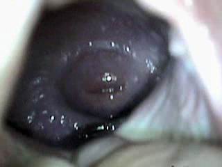 #2 video sample