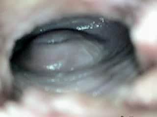 #1 video sample