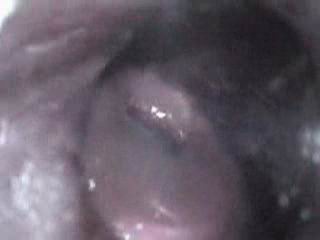 #1 video sample
