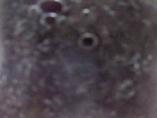 #3 video sample