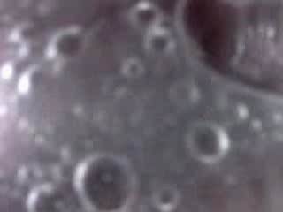 #1 video sample
