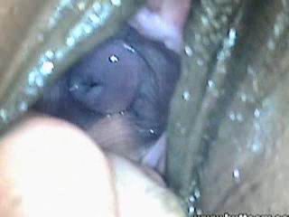 #2 video sample